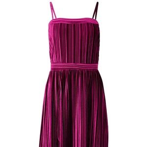 Velvet Pleated Dress in Wine